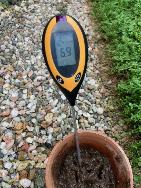 卵の殻パウダーをかけた後のpH