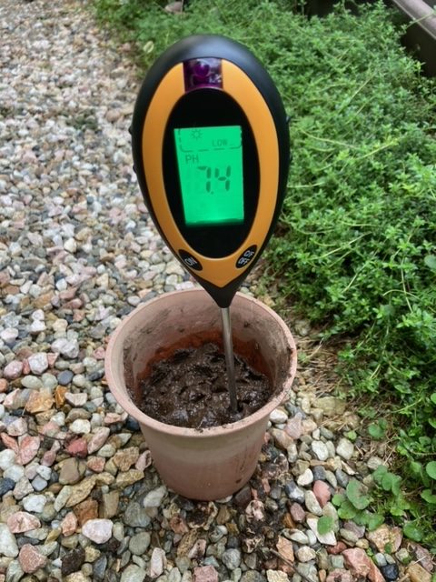 しばらく待った後の土壌pH