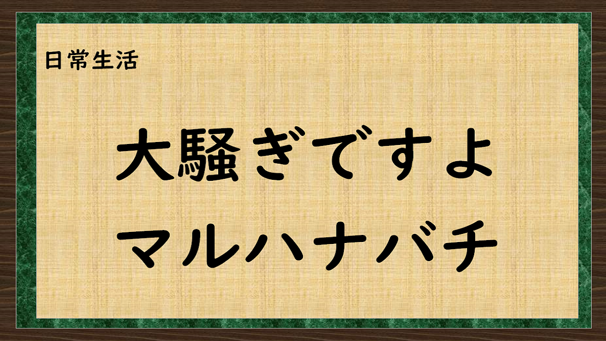 大騒ぎマルハナバチ