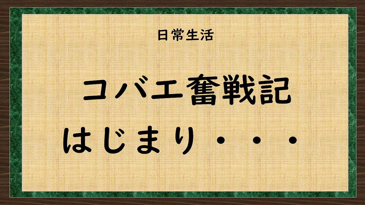 コバエ戦記（奮戦記）　コバエがウチにやってきた