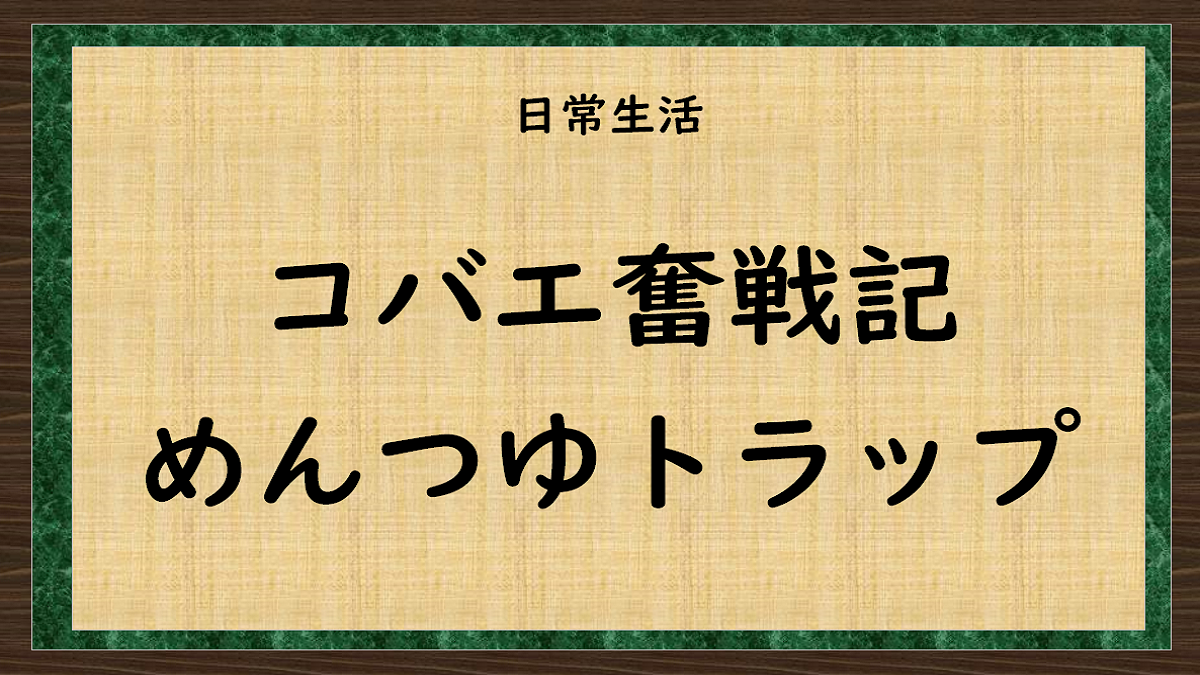 コバエ奮戦記　めんつゆトラップ