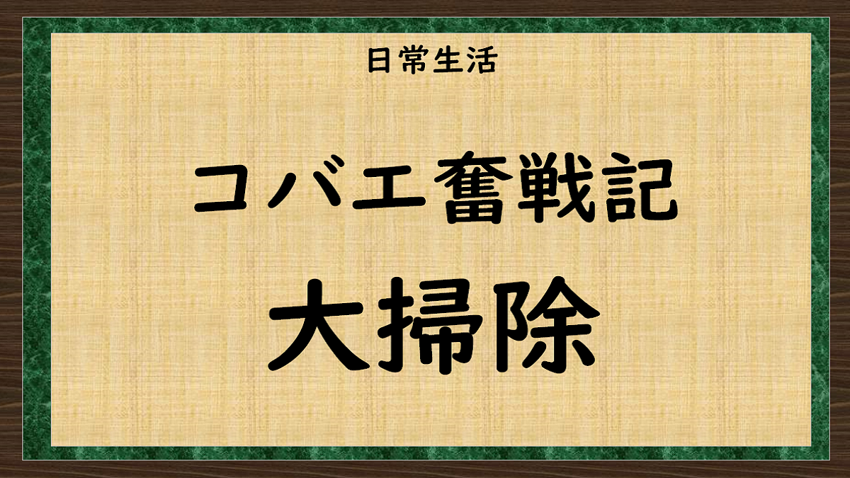 コバエ退治　大掃除