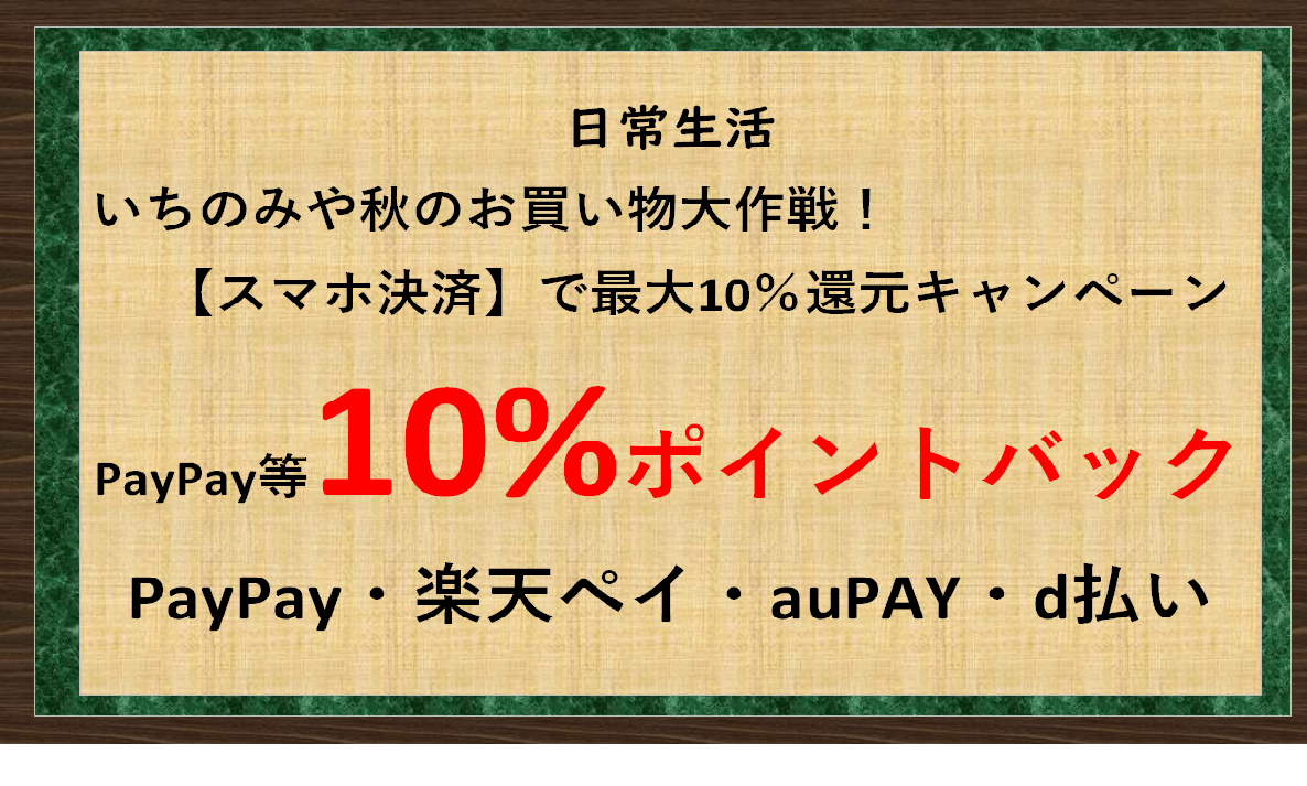 尾張一宮市キャッシュレス決済ポイント還元キャンペーン