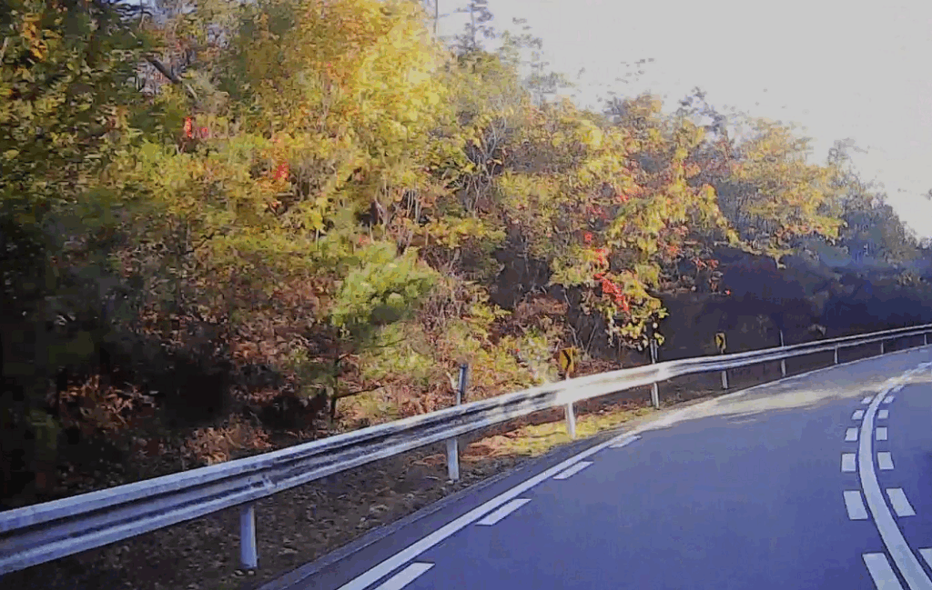 紅葉になりかけ